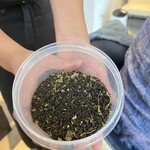 プレゼンテ スギ - 