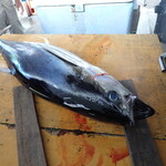 ポーク玉子おにぎり くじら - 