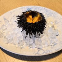 Osteria IL VIAGGIO - 美しい氷の上に飾り付けられた殻付きの女川産雲丹。身が黄色く、穏やかで優しい甘みと旨みが特徴のキタムラサキウニで、6月中旬〜8月初旬が旬と言われる。