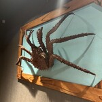 湘南沖地蟹専門店ふじ月 - 