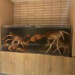 湘南沖地蟹専門店ふじ月 - 
