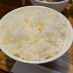 キッチン ブルー グローブ - ご飯大盛りのアップ