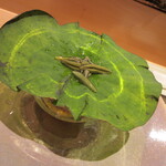 255020601 - 【烏賊ソーメン】