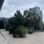 800°DEGREES CRAFT BREW STAND - 