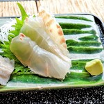 光る海 - ヒラメ