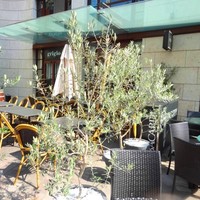 grigio la tavola - 2013年6月訪問時撮影