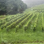 ヴィラデスト ガーデンファーム アンド ワイナリー - 