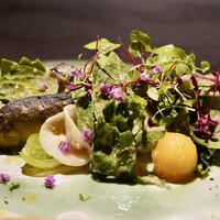 TOSAGE - 