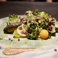 TOSAGE - 