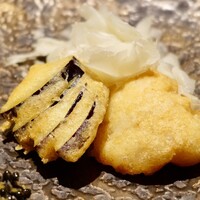 TOSAGE - 