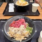 Hanamaru Udon Midori Nagano Ten