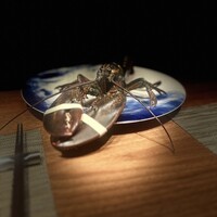 Wolfgang's Steakhouse Teppan - 