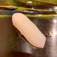 月の木 - ヤリイカ