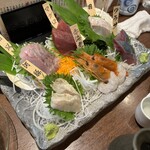 庄内魚河岸酒場 潮彩 - 