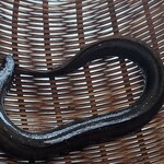 うなぎや 茂右ェ門 - 