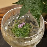 銀座 やまの辺 江戸中華 - 