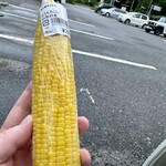道の駅 木曽川源流の里きそむら 直売所げんき屋 - 料理写真: