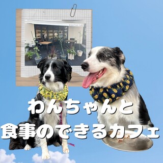 テラス席でワンちゃんとカフェタイム♪