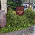 ソウル ツリー - 看板