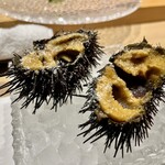 鮓 有無 - ムラサキウニ　スプーンで贅沢に❗️