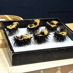 鮓 有無 - ムラサキウニ