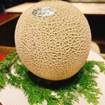 スガラボヴィー - 