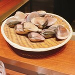 スガラボヴィー - 