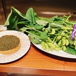 スガラボヴィー - 