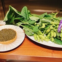 スガラボヴィー - 