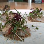 Osteria IL VIAGGIO - 