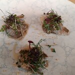 Osteria IL VIAGGIO - カルパッチョ