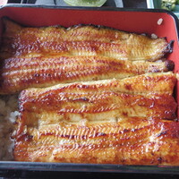 駒形前川 浅草本店 - 　坂東太郎くん　確かに焦げ目がない