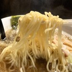 らーめん屋本舗　麺龍 - 麺のアップ