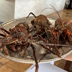 ウシマル - 伊勢エビ