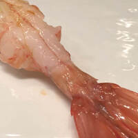 おたる政寿司 銀座 -  おたる政寿司 銀座 -