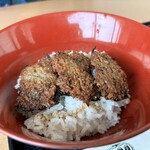 レストラン立田 - ご飯が少ないのか❓器がデカいのか❓