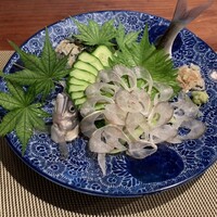 飛騨季節料理 肴 - 