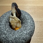 KHAO - プードーン