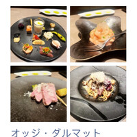 オッジ ダルマット 西麻布店 - 