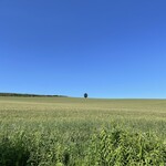 エゾアムプリン製造所 - 