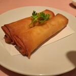 255159400 - 