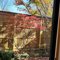 賛否両論 名古屋 - 