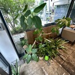 クラフト コーヒー - 