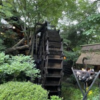黒茶屋 - 