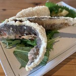 フィッシュテイル - 