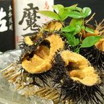 Hokkaido raw sea urchin