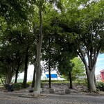 レイドバックバーガー - 観覧無料^_^