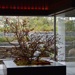 ラ・ロカンダ - ロビーの桜