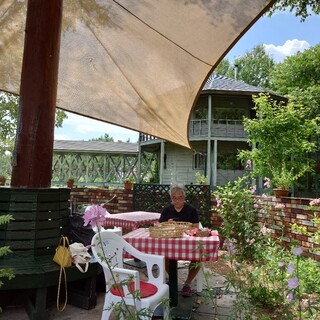 森のランチ ピクニック_2