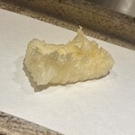 日本橋 蕎ノ字 - アオリイカ